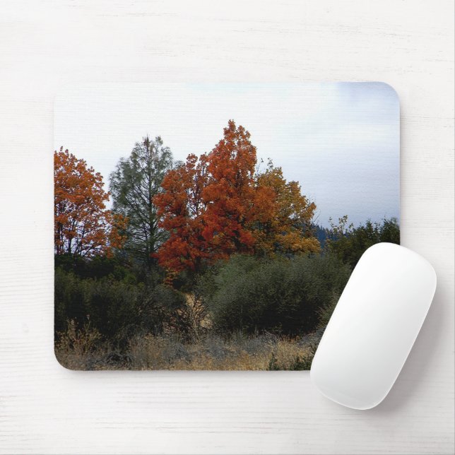 Mousepad Bela queda.... (Com mouse)