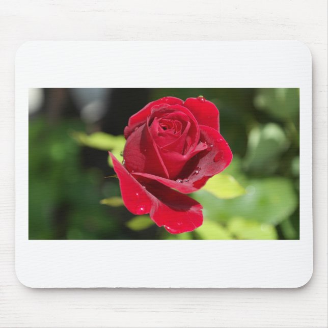 Mousepad Bela Rosa vermelha Profunda (Frente)