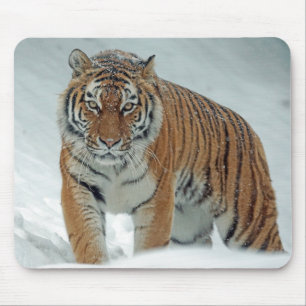 Mousepad Bela Tigre na Neve