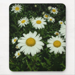 Mousepad belas flores de margarida branca.