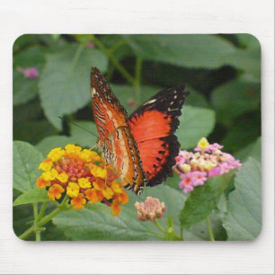 Mousepad Beleza alaranjada