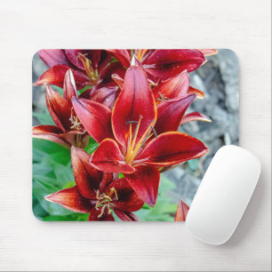 Mousepad Beleza Canadiana: Fotografia do Red Stargazer Lily