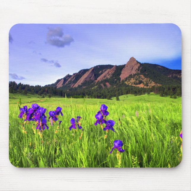 Mousepad Beleza de Flatiron (Frente)