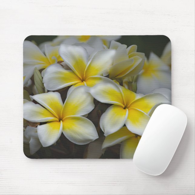 Mousepad Beleza Havaí: Fotografia da Plumeria Cativadora (Com mouse)