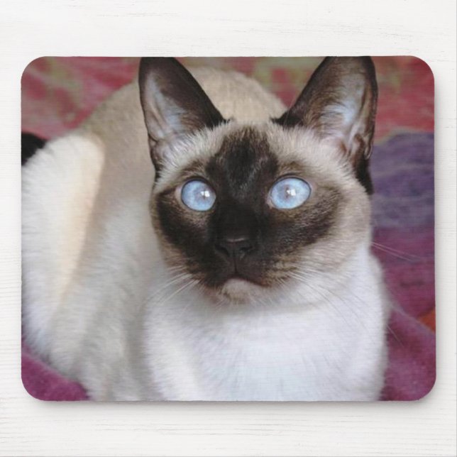 MOUSEPAD BELEZA SIAMESE (Frente)