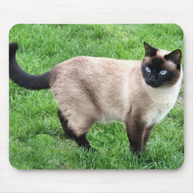 MOUSEPAD BELEZA SIAMESSA (Frente)