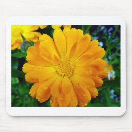 Mousepad belíssima flor de margarida amarela fresca