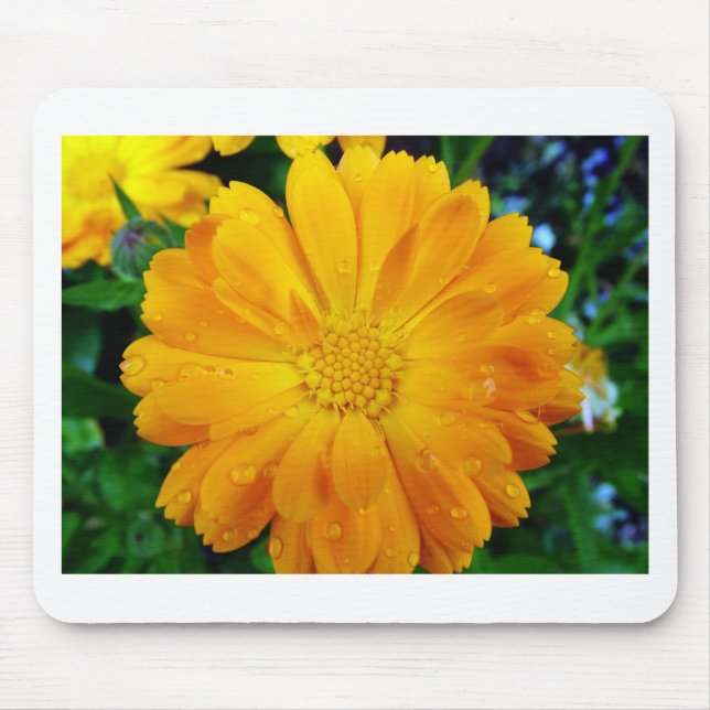 Mousepad belíssima flor de margarida amarela fresca (Frente)