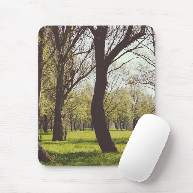 Mousepad Belíssimo Prado (Com mouse)
