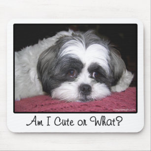 Mousepad Belle o cão de Shih Tzu