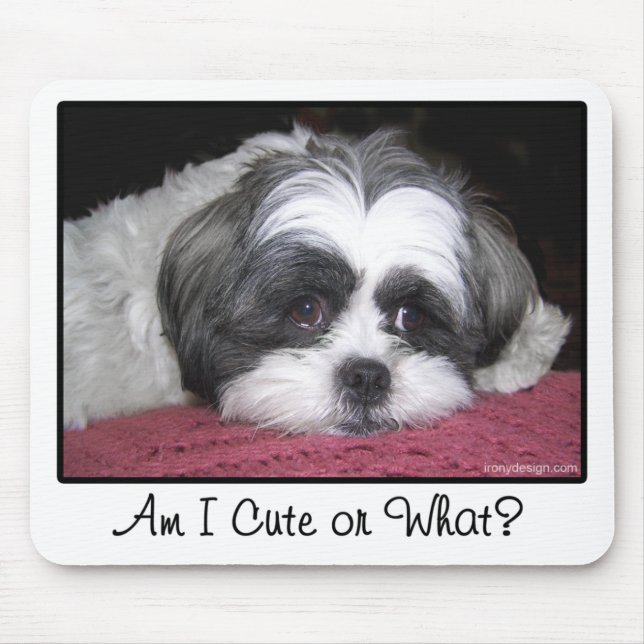 Mousepad Belle The Shih Tzu Dog (Frente)