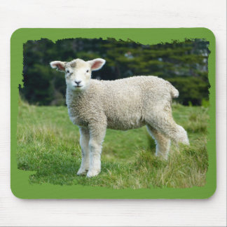 Mousepad Belo Bebê Cordeiro Lamb Em Campo Lamacento