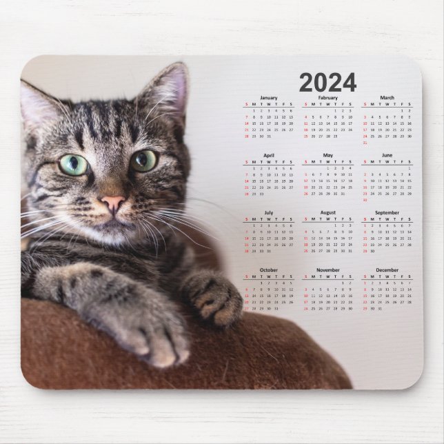 Mousepad Belo Calendário de Descanso de Gato 2024 (Frente)