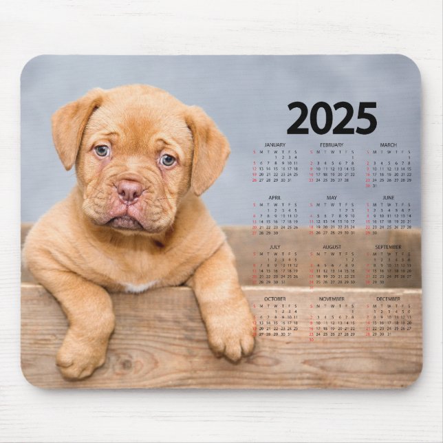 Mousepad Belo Calendário Marrom Cachorro 2025 (Frente)