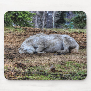 Mousepad Belo Cavalo Sleeping White Mare Ranch