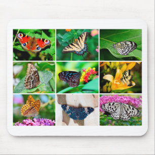 Mousepad Belo Colagem de Borboletas, 9 Fotos