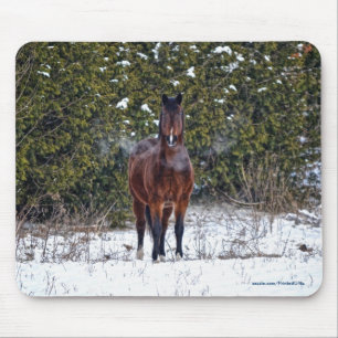 Mousepad Belo Design de Equino Animal do amante dos cavalos