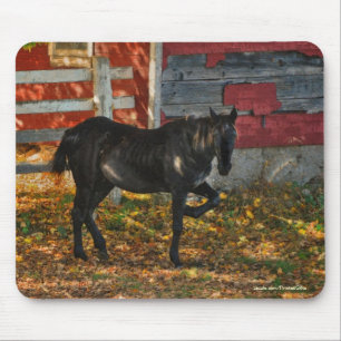 Mousepad Belo Design de Equino Animal do amante dos cavalos