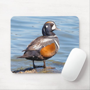 Mousepad Belo Duque Harlequin na Rock
