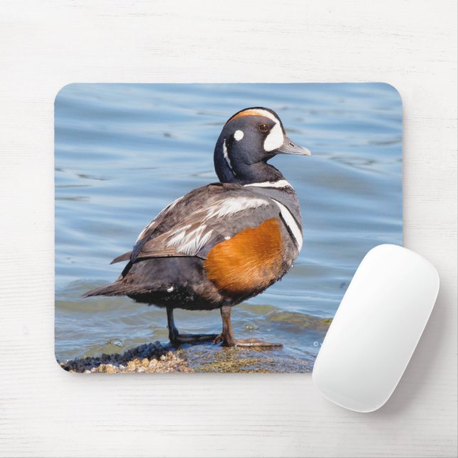 Mousepad Belo Duque Harlequin na Rock (Com mouse)