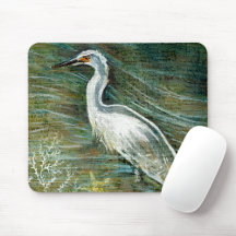Belo Egret Shorebird Descendo Na Arte Da Água