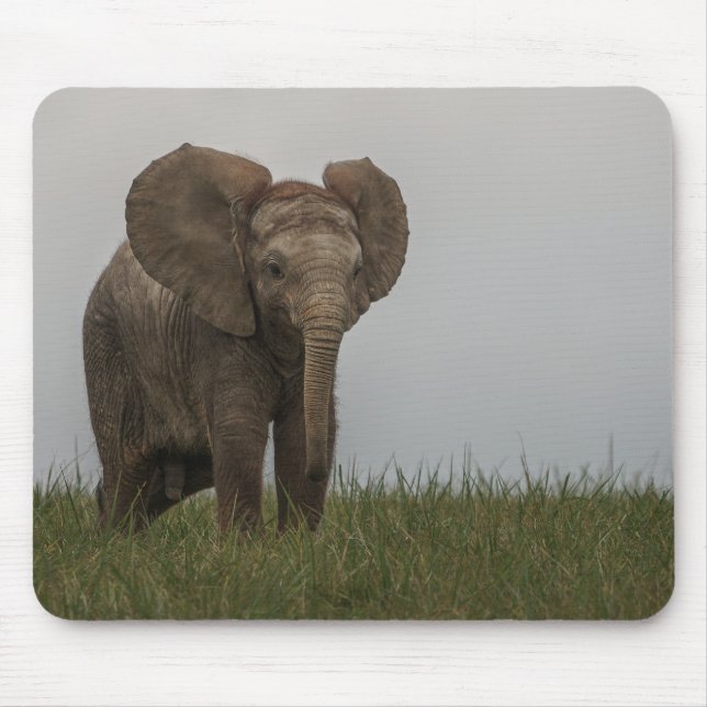 Mousepad Belo Elefante Africano Bush (Frente)