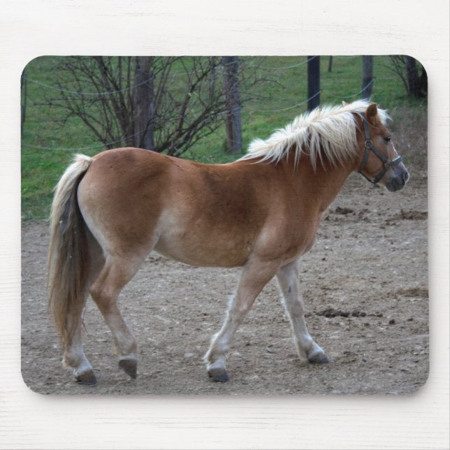 Mousepad Belo Haflinger (Frente)