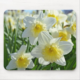Mousepad Belo jardim de narcóticos amarelos e brancos