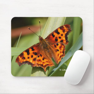 Mousepad Belo Laranja Satyr Comma Butterfly
