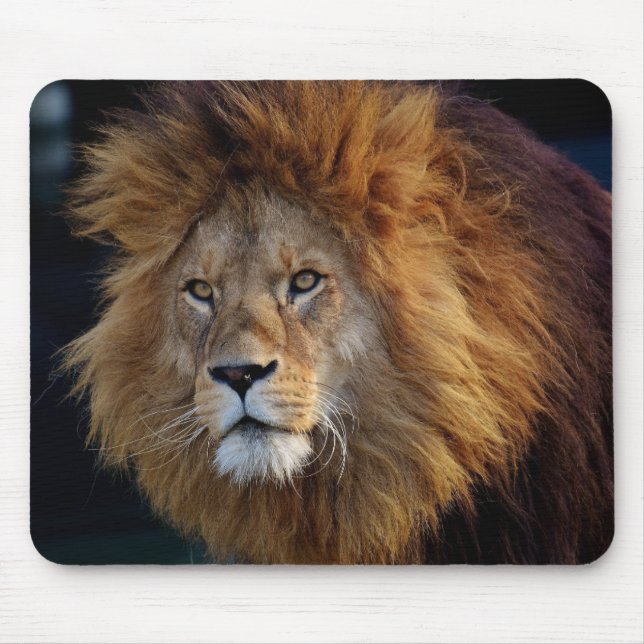 Mousepad Belo Mato De Mouse Leão (Frente)