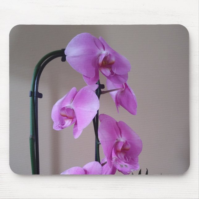 Mousepad Belo Mato De Rato De Orquídea (Frente)