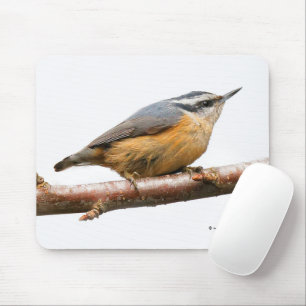 Mousepad Belo passarinho-do-mato-vermelho