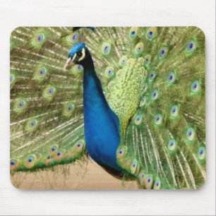 Mousepad Belo Pavão