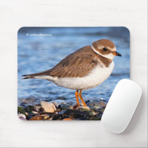 Mousepad Belo Plover Semipalmado em Praia