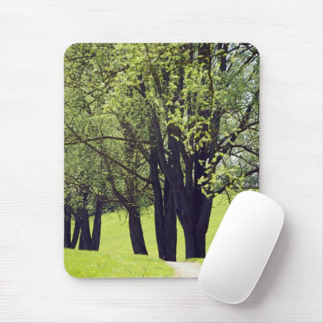 Mousepad Belo Prado (Com mouse)
