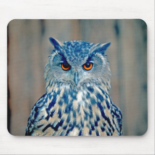 Mousepad Belo Raptor Uhu