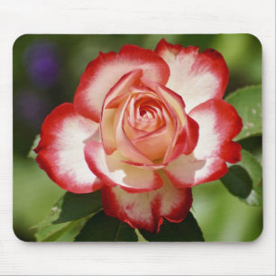 Mousepad Belo Rosa vermelho e branco