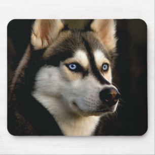 Mousepad Belo Travesseiro decorativo Rouco