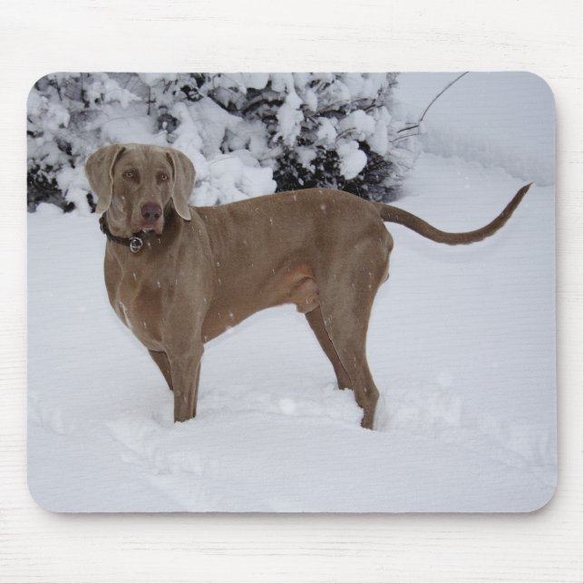 Mousepad Belo Weimaraner na neve (Frente)
