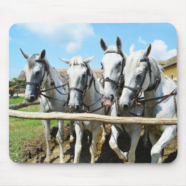 Mousepad Belos cavalos (Frente)