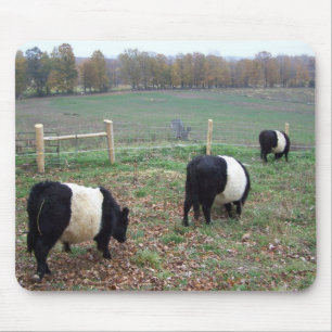 Mousepad Beltie Cow Herd ao longo de uma trilha