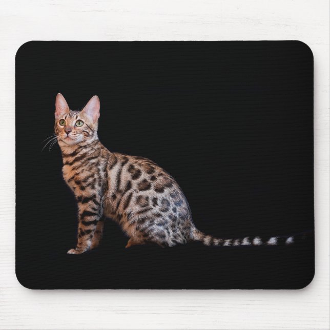 Mousepad Bengal cat (Frente)