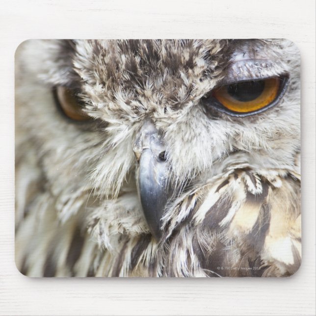 Mousepad Bengal Eagle Owl (Frente)