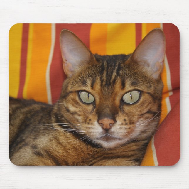 Mousepad Bengala Cat (Frente)