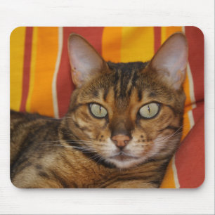 Mousepad Bengala Gato