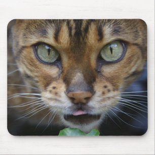 Mousepad Bengala Gato