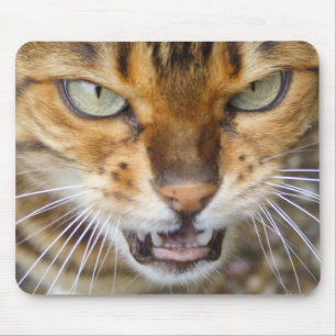 Mousepad Bengala Gato