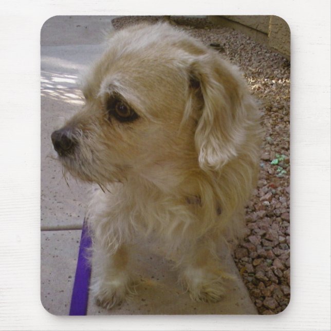 Mousepad Benji (Frente)