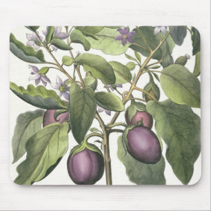 Mousepad Beringela: Pallido do fructu de Melanzana, 'do Hor