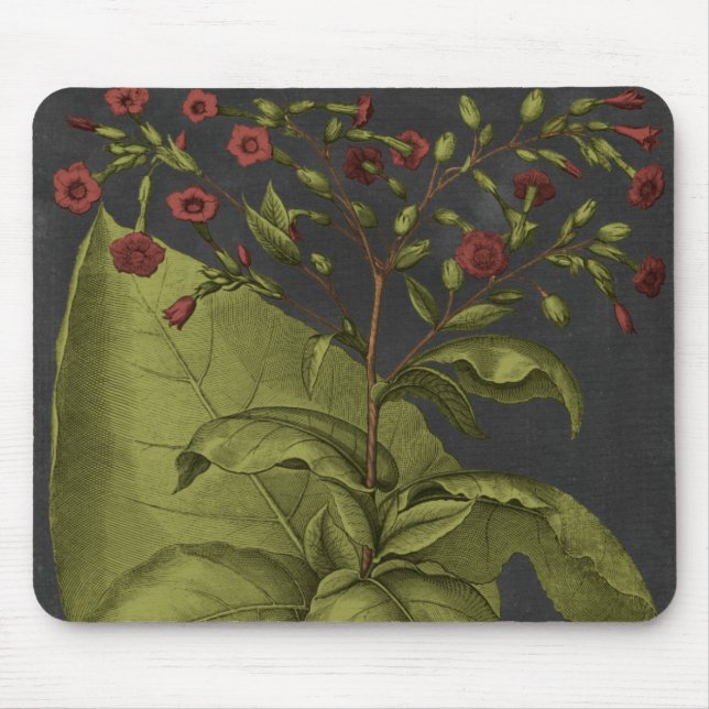 Mousepad Besler Dramatique I (Frente)